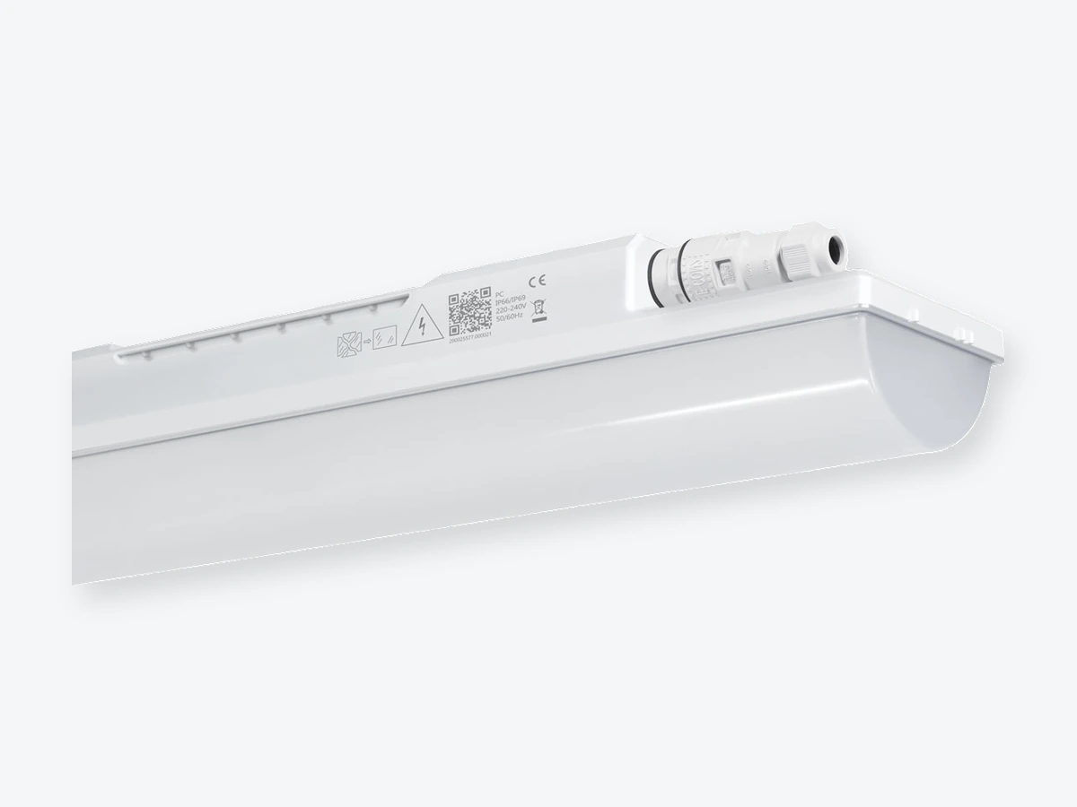 Cyrrus P från Retina