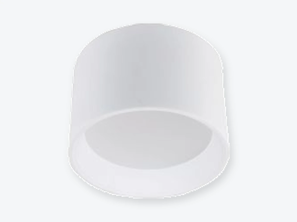 Amun C från Retina