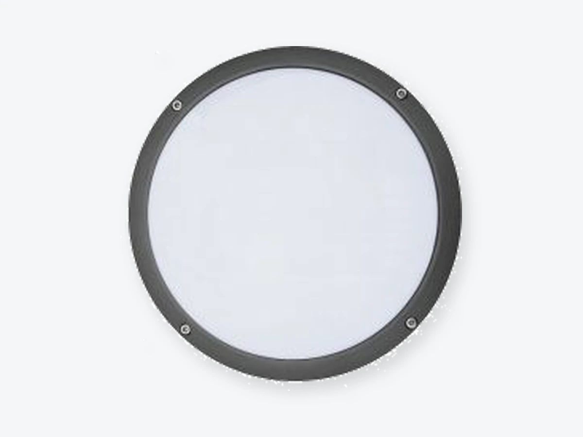 Nut från Retina