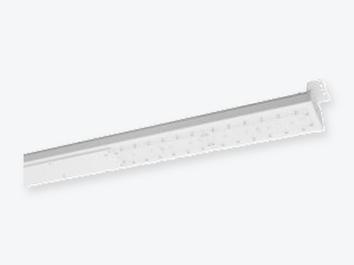 Neptunus LJ från Retina