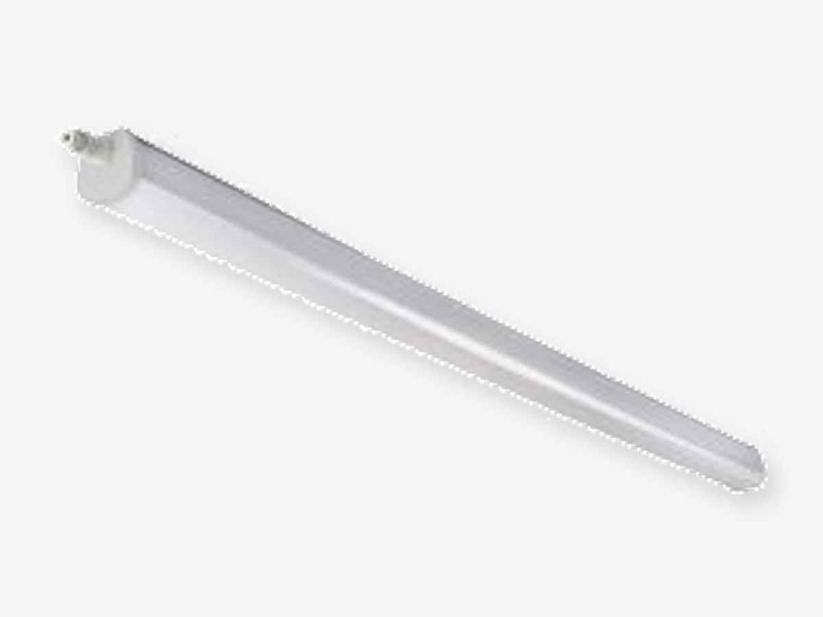 Dimidium från Retina