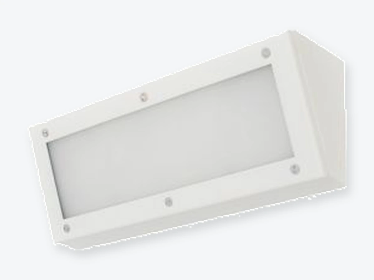 Canis W från Retina